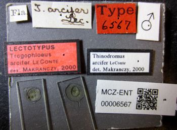 Media type: image;   Entomology 6567 Aspect: labels